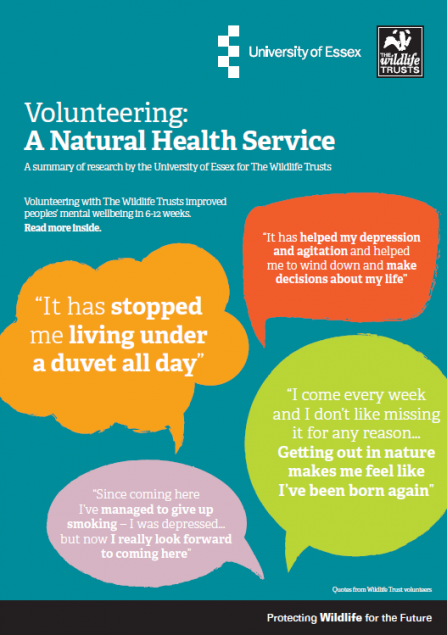 Volunteering: A Natural Health Service
