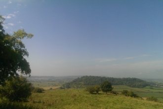 Gilling Down view Rosie Winch