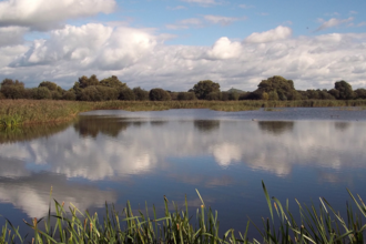 View of Avalon Marshes 