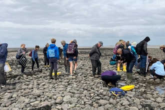 A group of teenagers and adults on Dunster Beach looking at intertidal species