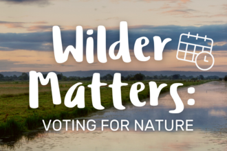 Landscape image depicting river with title, 'Wilder Matters: Voting for Nature'