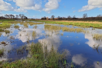 Blue sky and cloud reflection over a restored peatland area 