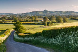 Somerset Levels