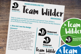 Team Wilder Brand Guidelines & Poster templates