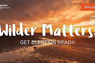 Wilder Matters: Get Election Ready header