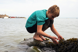 boy in a blue shirt stood on a rock looking at seaweed