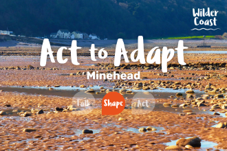 Act to Adapt - Minehead banner