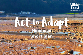 Act to Adapt Feature card Minehead short plan