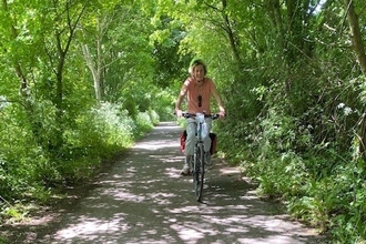 Cyclist peddaling along a quiet country lane past shady trees