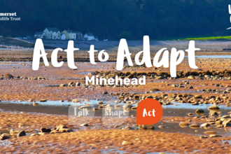 Act to Adapt Minehead Banner