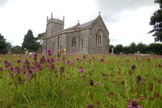 Wildflower grassland at Priddy churchyard