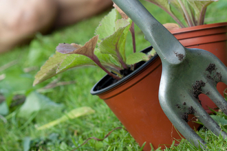 gardening