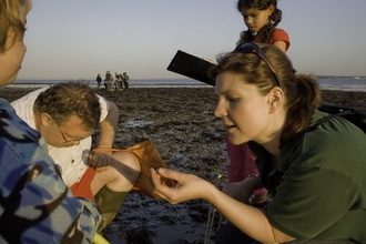 Citizen science shoresearch survey