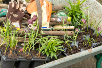 gardening