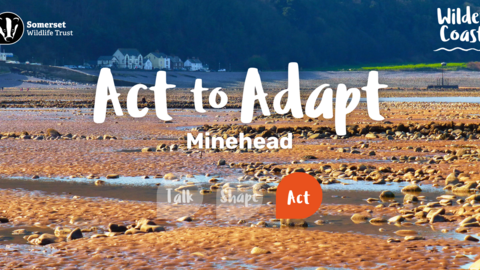 Act to Adapt Minehead Banner