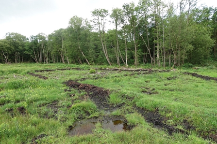 The result of Shapwick Heath's cell bunding work