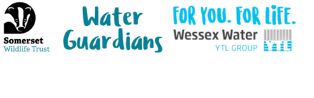 Water Guardians project logos