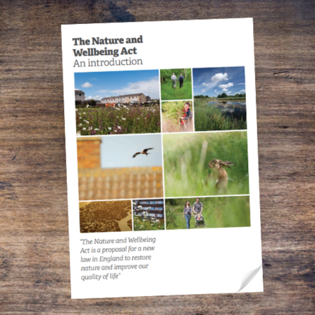 The Nature and Wellbeing Act cover