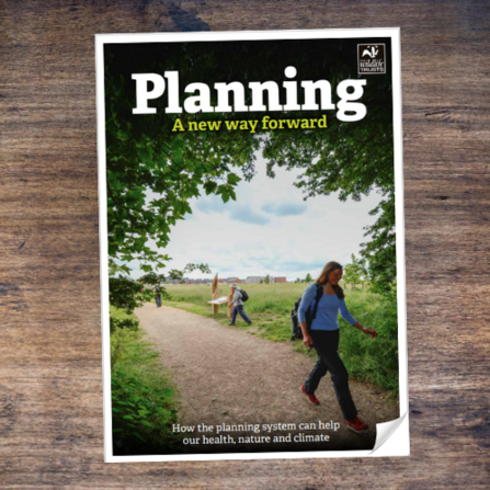 Planning: A new way forward cover