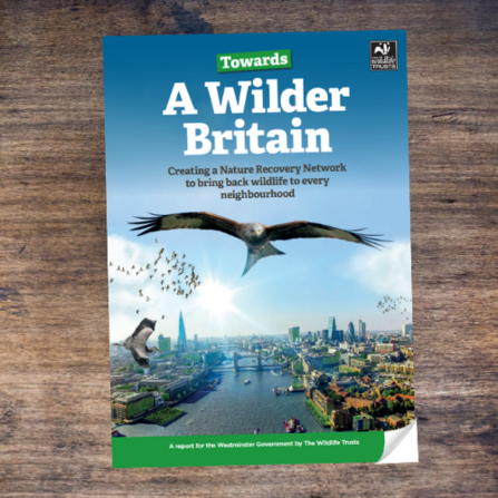 Towards a Wilder Britain cover