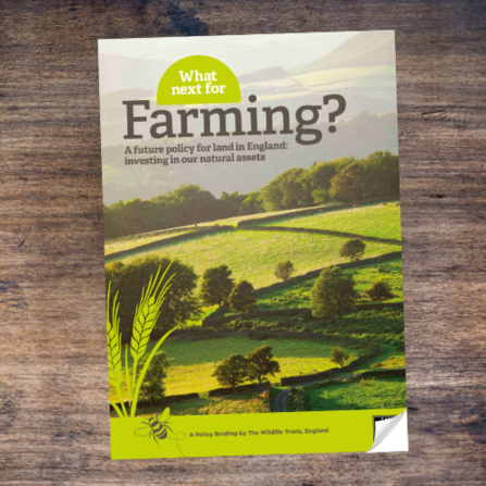 What next for farming? cover
