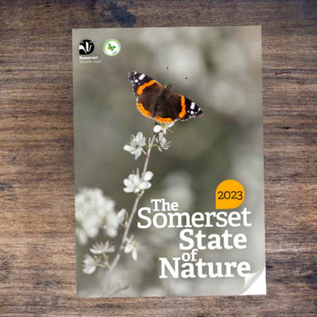Somerset's State of Nature report 2023 cover