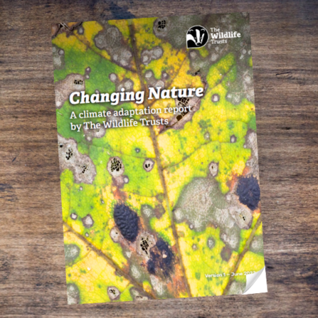 Changing Nature: A Climate Adaptation Report for The Wildlife Trusts cover image