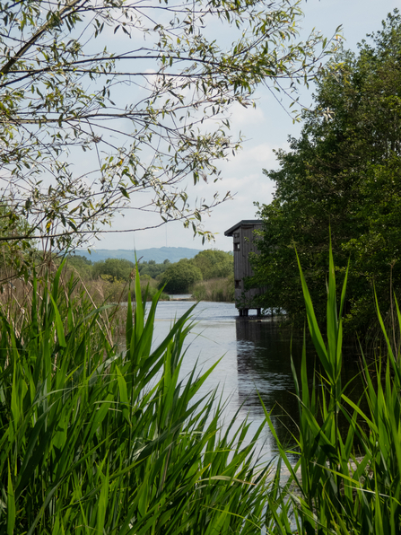 Landscape view over Westhay Moor