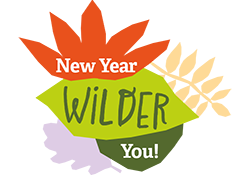 Image of the New Year Wilder You logo