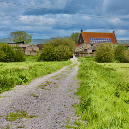 Photo of the buildings at Honeygar