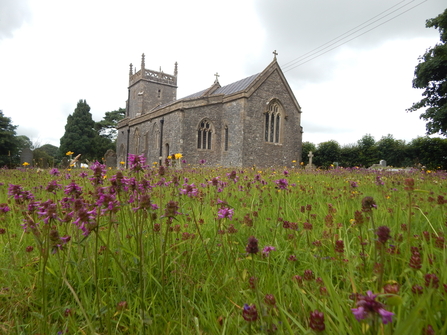 Wildflower grassland at Priddy churchyard