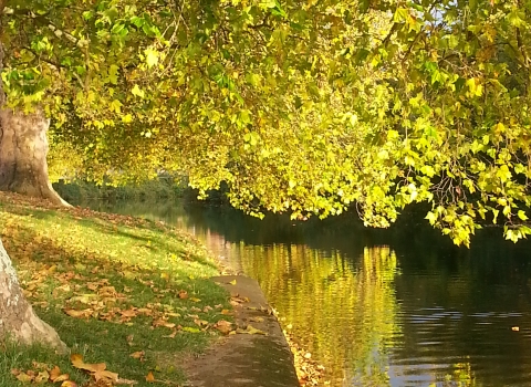 French Weir