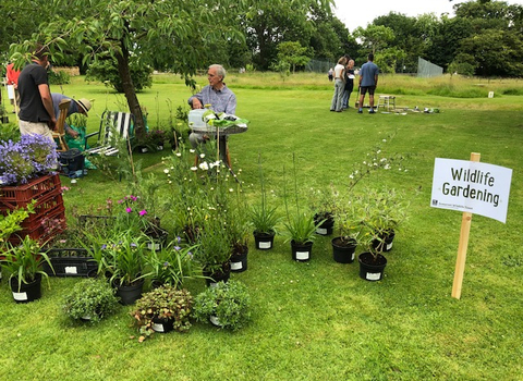 Plant sale at a Wilder Open Garden