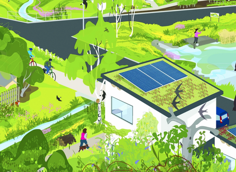 Illustration of a neighbourhood with wildlife friendly rooftops and gardens