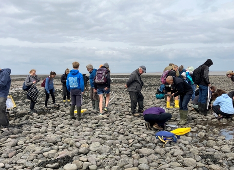 A group of teenagers and adults on Dunster Beach looking at intertidal species