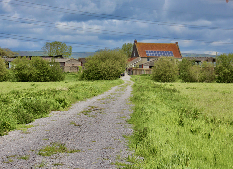 Honeygar buildings