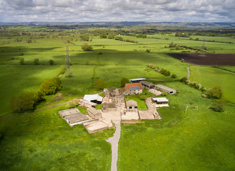 Honeygar from above