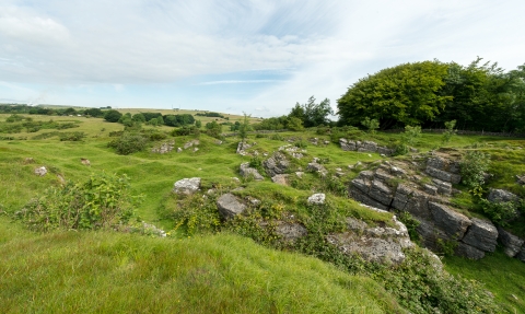 Ubley Warren Nature Reserve